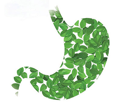 消化系統(tǒng)藥